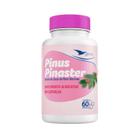 Suplemento Pinus Pinaster - 60 CGM - GLOBAL