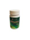 Suplemento Psyllium 500mg Frasco 60 Cápsulas Ninho Verde