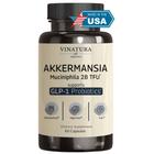 Suplemento Vinatura Akkermansia Probiotic 60 cápsulas