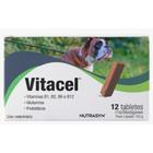 Suplemento Vitamínico Vitacel Nutrasyn Para Cães 12 Tablete