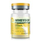 Suplemento Whey Protein Wheydop X Em Pó Concentrado E Isolado 900 G Elemento Puro