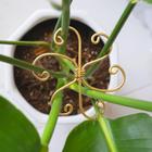 Suporte para Plantas Goooxim - Suporte para Monstera (5 Unidades)