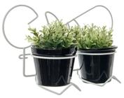 Suporte Vaso Parede Duplo Suspenso Branco Jardim Planta