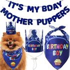 Suprimentos para festas de aniversário para cães, banner de bandana estilo Odi