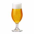 Taça de Cerveja de Cristal Nevada P 325ml - Ritzenhoff