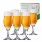 Taça de Cerveja de Cristal Sparkling P 265ml Conjunto 6 Pcs - Ruvolo