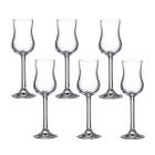Taça de Cristal Bohemia Para Grappa 85 ml Colibri 6 Peças