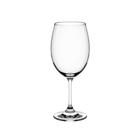 Taça de Vinho de Cristal com Titânio 450ml Haus Concept 56313/104
