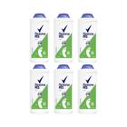 Talco Para Pes Rexona 100G Fresh - Kit Com 6Un