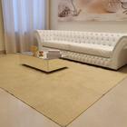 Tapete 3,00x2,00 De Sisal Moderno