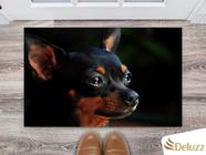 Tapete Capacho Personalizado Divertido Dog Pet Cachorro Cão