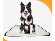 Tapete para cães Higiênico ecológico 2 un M1 70X100 cm