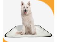 Tapete para cães Higiênico em oferta 1 um M 60x80 cm - SHELBY MODA PET