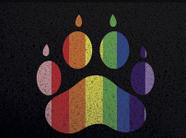 Tapete para Porta Pata LGBT 60x40cm