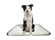 Tapete pet impermeável educador dog oferta 1 un M1 70x100cm