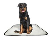 Tapete pet impermeável educador dog oferta 5 un G1 100x120cm