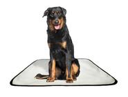 Tapete pet reutilizável adestrador dog oferta 2 un G1 100x120cm
