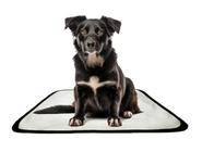 Tapete pet reutilizável adestrador dog oferta 3 un P 50x60cm