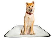 Tapete pet reutilizável adestrador dog oferta 4 un M 60x80cm