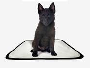 Tapete pet reutilizável educador dog oferta 10un M 60x80cm