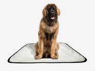 Tapete pet reutilizável educador dog oferta 3un G2 120x120cm