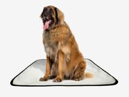 Tapete pet reutilizável educador dog oferta 5 un G1 100x120cm