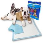 Tapetes Higiênicos Para Cães Super Absorventes 56x60cm Pets