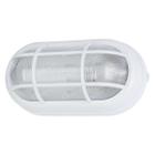 Tartaruga Branca Led 9W Branco Frio Bivolt - Lustres Cheruti