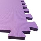 Tatame Evamax Com Encaixe 50X50 10Mm Cor:Lilas