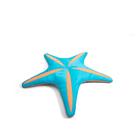 Tecido de malha felpuda de pêssego Pool Float Big Joe Royal Starfish de 1,5 m