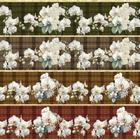 Tecido tricoline nov barrado faixas floral orquideas xadrez