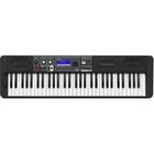 Teclado Casio Casiotone CTS500 Cts-500 61 Teclas