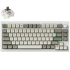 Teclado Gamer Mecanico Keychron Q1 He RGB Switch Magnetic