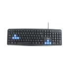 Teclado Gamer USB ABNT2 Preto e Azul Knup KP-2002