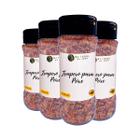 Tempero Superior para Peixe 100% Natural Kit 4 Pote com Dosador 30g