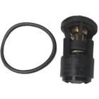 Termostato FOX 2003/2022 - 65167 - AVTS01003T80