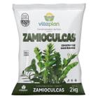 Terra Especial para Zamioculcas (2kg) VITAPLAN