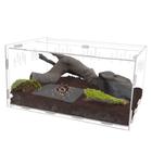 Terrarium winemana Reptile Tarantula Compartimento 40x28x15cm