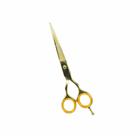 Tesoura De Corte Profissional Cabelereiro Barbeiro 6.0 Gold