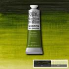 Tinta A Óleo Para Tela Winton 37ml 599 S1 Sap Green