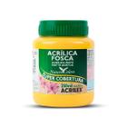 Tinta Acrílica Acrilex Fosca 250ml Escolha a Cor