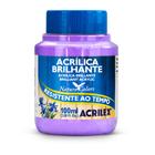 Tinta Acrilica Brilhante 100ml Acrilex 03310