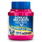 Tinta Acrilica Brilhante 100ml Rosa Escuro Ref 542 Acrilex