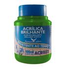 Tinta Acrílica Brilhante 100ml Verde Musgo 513 Acrilex