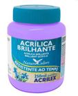 Tinta Acrílica Brilhante 250ml Lilás 528 Acrilex