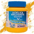 Tinta Acrílica Brilhante Acrilex 250 ml - 03325