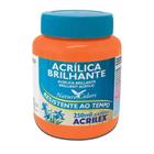 Tinta Acrílica Brilhante Laranja 517 (250Ml.) - Acrilex