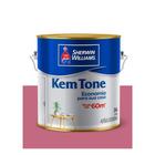 Tinta acrilica economica 3,6l rosa açaí kem tone - SHERWIN WILLIAMS