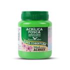 Tinta Acrilica Fosca 250ml Acrilex 03525