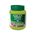 Tinta Acrilica Fosca 250ml Verde Folha Acrilex